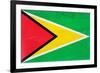 Guyana Flag Design with Wood Patterning - Flags of the World Series-Philippe Hugonnard-Framed Art Print