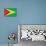 Guyana Flag Design with Wood Patterning - Flags of the World Series-Philippe Hugonnard-Art Print displayed on a wall