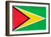 Guyana Flag Design with Wood Patterning - Flags of the World Series-Philippe Hugonnard-Framed Art Print