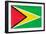 Guyana Flag Design with Wood Patterning - Flags of the World Series-Philippe Hugonnard-Framed Art Print