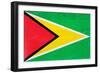 Guyana Flag Design with Wood Patterning - Flags of the World Series-Philippe Hugonnard-Framed Art Print