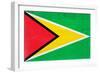 Guyana Flag Design with Wood Patterning - Flags of the World Series-Philippe Hugonnard-Framed Art Print