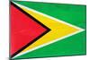 Guyana Flag Design with Wood Patterning - Flags of the World Series-Philippe Hugonnard-Mounted Art Print