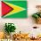 Guyana Flag Design with Wood Patterning - Flags of the World Series-Philippe Hugonnard-Art Print displayed on a wall