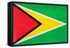 Guyana Flag Design with Wood Patterning - Flags of the World Series-Philippe Hugonnard-Framed Stretched Canvas