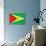 Guyana Flag Design with Wood Patterning - Flags of the World Series-Philippe Hugonnard-Stretched Canvas displayed on a wall