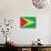 Guyana Flag Design with Wood Patterning - Flags of the World Series-Philippe Hugonnard-Stretched Canvas displayed on a wall