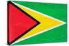 Guyana Flag Design with Wood Patterning - Flags of the World Series-Philippe Hugonnard-Stretched Canvas