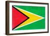 Guyana Flag Design with Wood Patterning - Flags of the World Series-Philippe Hugonnard-Framed Premium Giclee Print