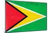 Guyana Flag Design with Wood Patterning - Flags of the World Series-Philippe Hugonnard-Mounted Premium Giclee Print