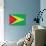 Guyana Flag Design with Wood Patterning - Flags of the World Series-Philippe Hugonnard-Art Print displayed on a wall