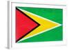 Guyana Flag Design with Wood Patterning - Flags of the World Series-Philippe Hugonnard-Framed Art Print