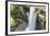 Guyana, Kaieteur Falls. View of Waterfall Flowing into Basin-Alida Latham-Framed Photographic Print