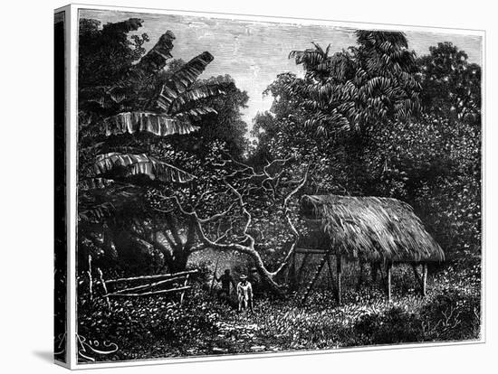 Guyana, South America, 19th Century-Edouard Riou-Stretched Canvas