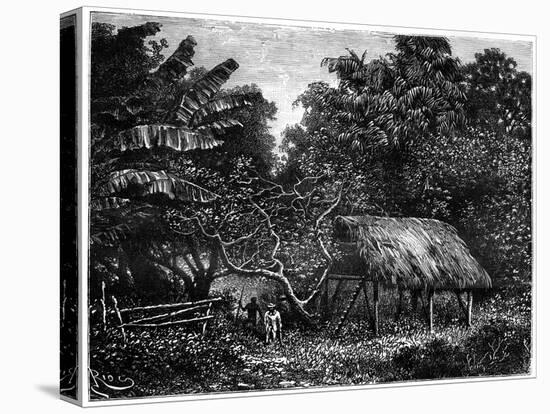 Guyana, South America, 19th Century-Edouard Riou-Stretched Canvas