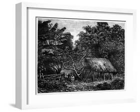 Guyana, South America, 19th Century-Edouard Riou-Framed Giclee Print