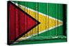 Guyana-budastock-Stretched Canvas