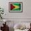 Guyana-budastock-Framed Art Print displayed on a wall