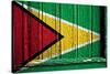 Guyana-budastock-Stretched Canvas