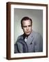 Brown Frame