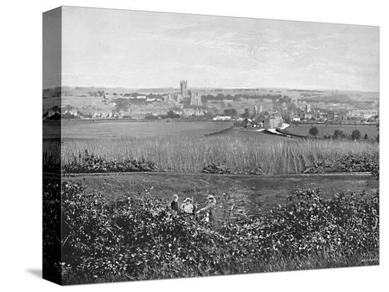 Stretched Canvas Print, , large