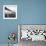 GWB Plenachrome Blur-Evan Morris Cohen-Framed Photographic Print displayed on a wall