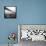 GWB Plenachrome Blur-Evan Morris Cohen-Framed Stretched Canvas displayed on a wall