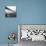 GWB Plenachrome Blur-Evan Morris Cohen-Stretched Canvas displayed on a wall