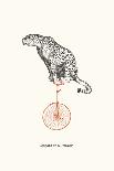 Leopard On A Unicycle-Gwen Aspall-Giclee Print