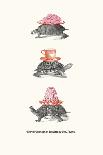 A Well Attired Hippo-Gwen Aspall-Giclee Print