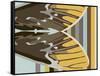 Gwen over Stripes-Belen Mena-Framed Stretched Canvas