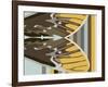 Gwen over Stripes-Belen Mena-Framed Giclee Print