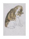 Study of a Cat-Gwendolen John-Framed Premium Giclee Print