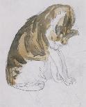 Study of a Cat-Gwendolen John-Premium Giclee Print