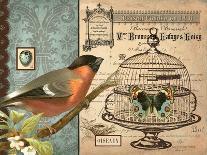 Bird & Cage I-Gwendolyn Babbitt-Art Print