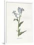 Gramercy White