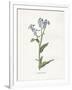 Gramercy White