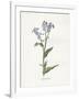 Gramercy White