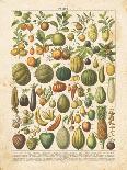 French Fruit Chart-Gwendolyn Babbitt-Art Print
