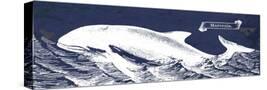 Stretched Canvas
