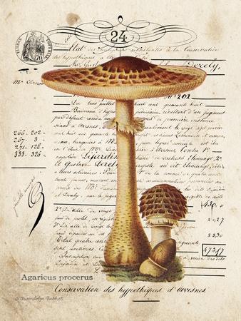 Mushroom I