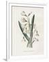 Gramercy White