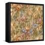 Gwendolyn Mushroom-Bill Jackson-Framed Stretched Canvas