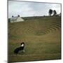 Gwennap Pit Near Redruth, 18th Century-CM Dixon-Mounted Photographic Print