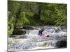 Gwynedd, Bala, White Water Kayaking on the Tryweryn River at the National Whitewater Centre, Wales-John Warburton-lee-Mounted Photographic Print