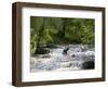 Gwynedd, Bala, White Water Kayaking on the Tryweryn River at the National Whitewater Centre, Wales-John Warburton-lee-Framed Photographic Print