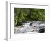 Gwynedd, Bala, White Water Kayaking on the Tryweryn River at the National Whitewater Centre, Wales-John Warburton-lee-Framed Photographic Print