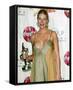 Gwyneth Paltrow-null-Framed Stretched Canvas