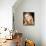 Gwyneth Paltrow-null-Framed Stretched Canvas displayed on a wall