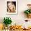 Gwyneth Paltrow-null-Framed Photo displayed on a wall